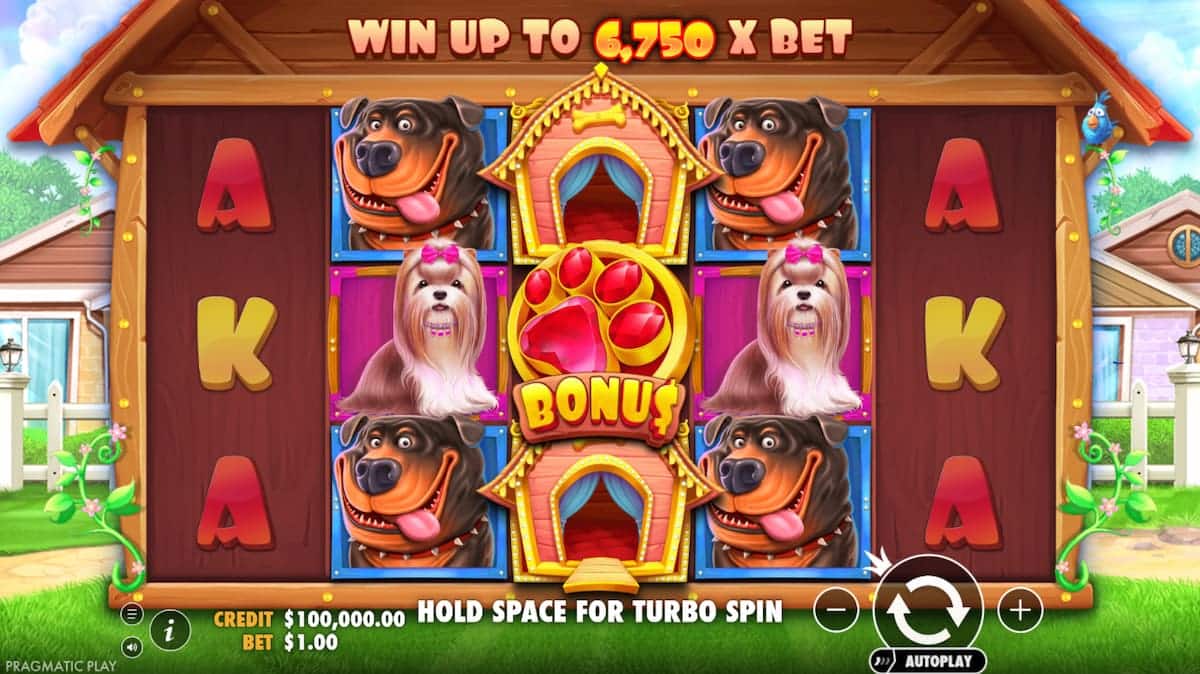 Keseruan Rumah Anjing Ceria Bikin Betah Main di The Dog House